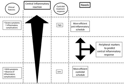 Human Extraparenchymal Neurocysticercosis: The Control of Inflammation Favors the Host…but Also the Parasite